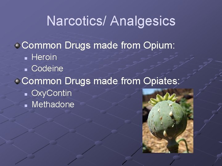 Narcotics/ Analgesics Common Drugs made from Opium: n n Heroin Codeine Common Drugs made