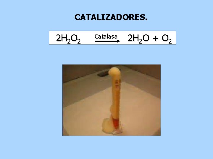 CATALIZADORES. 2 H 2 O 2 Catalasa 2 H 2 O + O 2