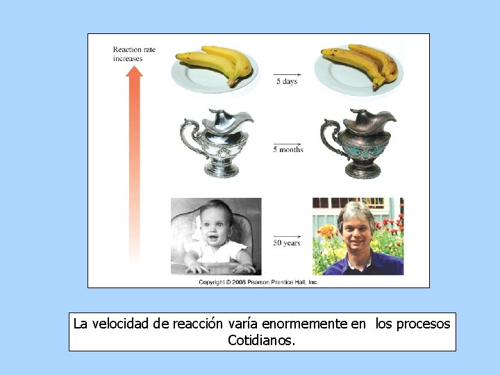 La velocidad de reacción varía enormemente en los procesos Cotidianos. 