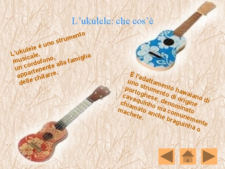 L’ukulele: che cos’è to n e um o str un è e lel u