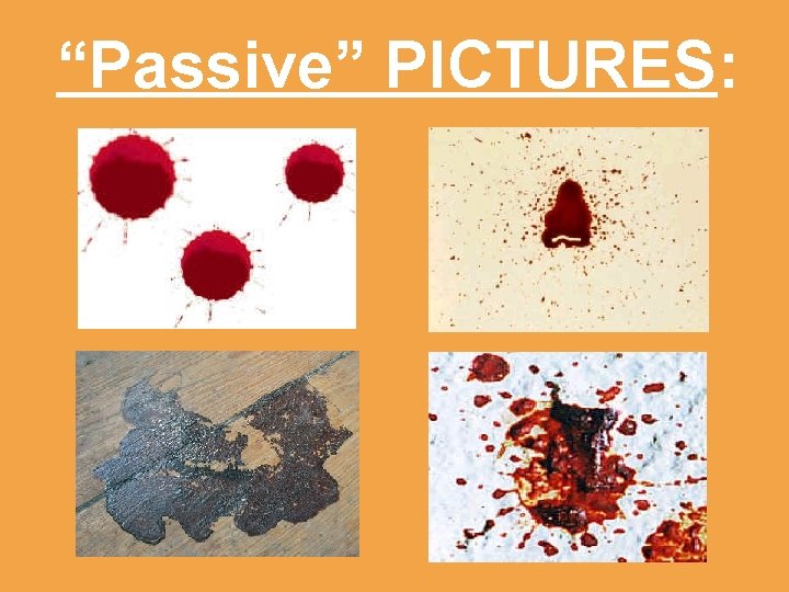 “Passive” PICTURES: 