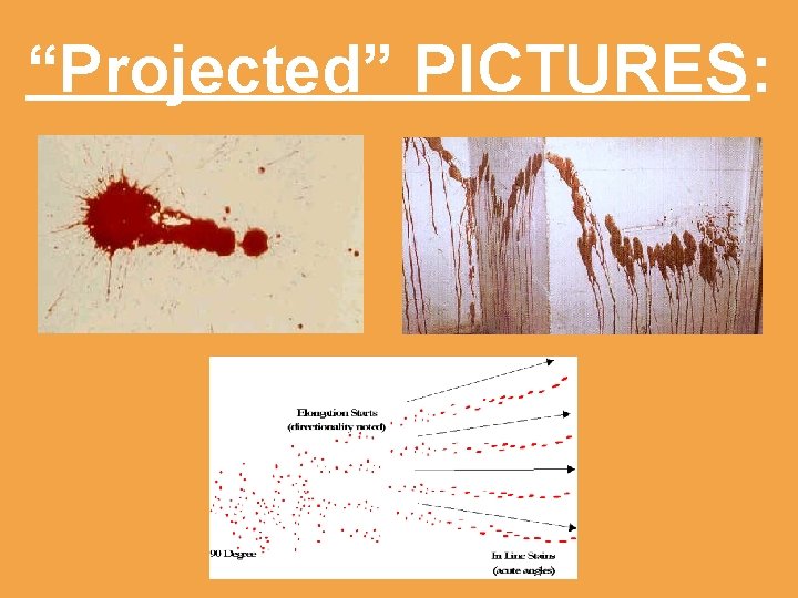 “Projected” PICTURES: 