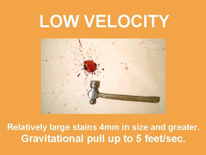 LOW VELOCITY Relatively large stains 4 mm in size and greater. Gravitational pull up