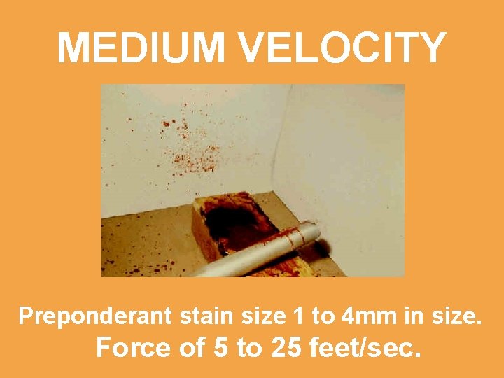 MEDIUM VELOCITY Preponderant stain size 1 to 4 mm in size. Force of 5