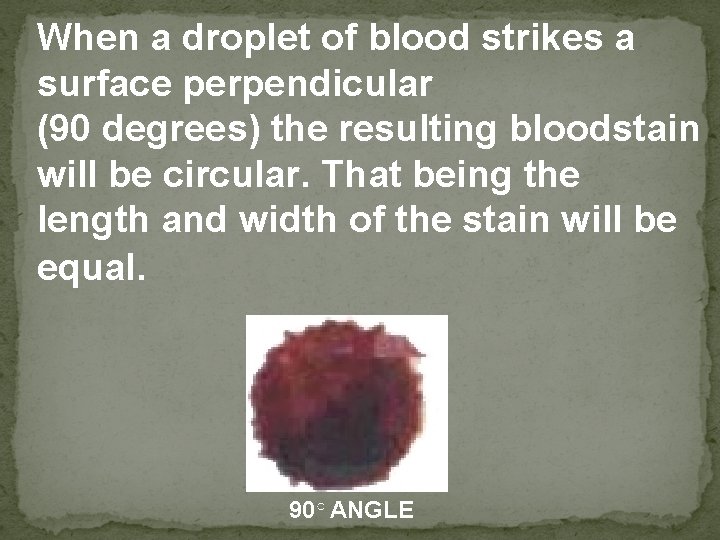 When a droplet of blood strikes a surface perpendicular (90 degrees) the resulting bloodstain