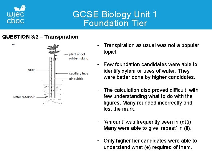 GCSE Biology Unit 1 Foundation Tier QUESTION 8/2 – Transpiration • Transpiration as usual