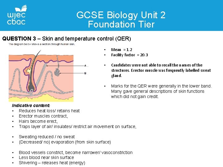 GCSE Biology Unit 2 Foundation Tier QUESTION 3 – Skin and temperature control (QER)
