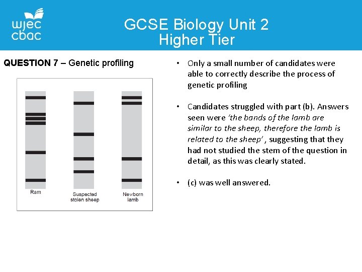 GCSE Biology Unit 2 Higher Tier QUESTION 7 – Genetic profiling • Only a