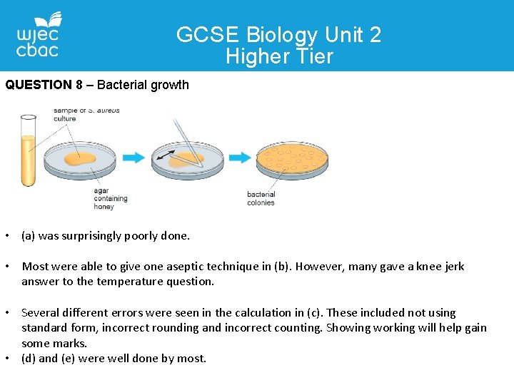 GCSE Biology Unit 2 Higher Tier QUESTION 8 – Bacterial growth • (a) was