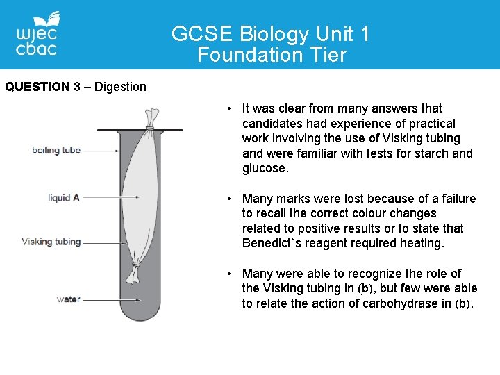 GCSE Biology Unit 1 Foundation Tier QUESTION 3 – Digestion • It was clear