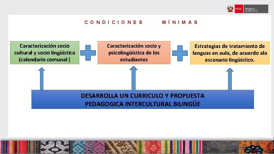 C O N D I C I O N E S Caracterización socio cultural