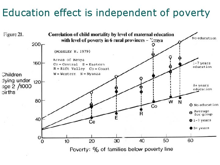 Education effect is independent of poverty 
