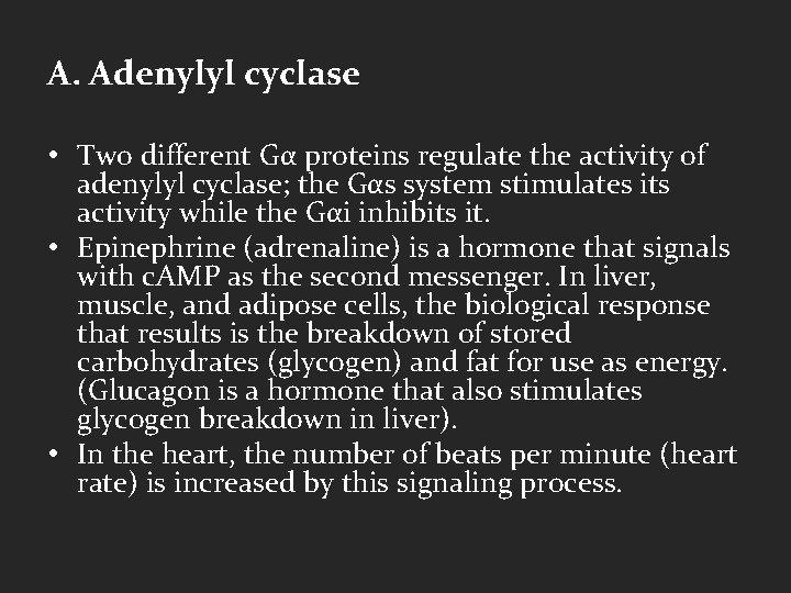 A. Adenylyl cyclase • Two different Gα proteins regulate the activity of adenylyl cyclase;