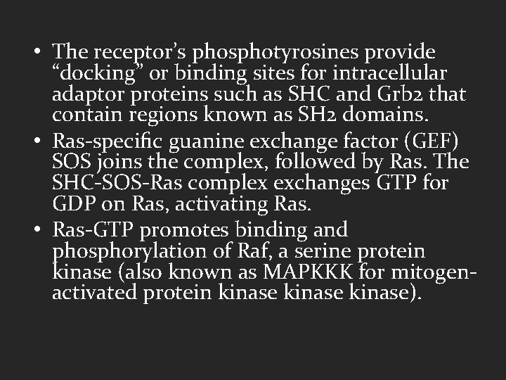  • The receptor’s phosphotyrosines provide “docking” or binding sites for intracellular adaptor proteins