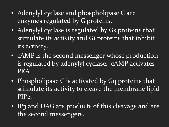  • Adenylyl cyclase and phospholipase C are enzymes regulated by G proteins. •