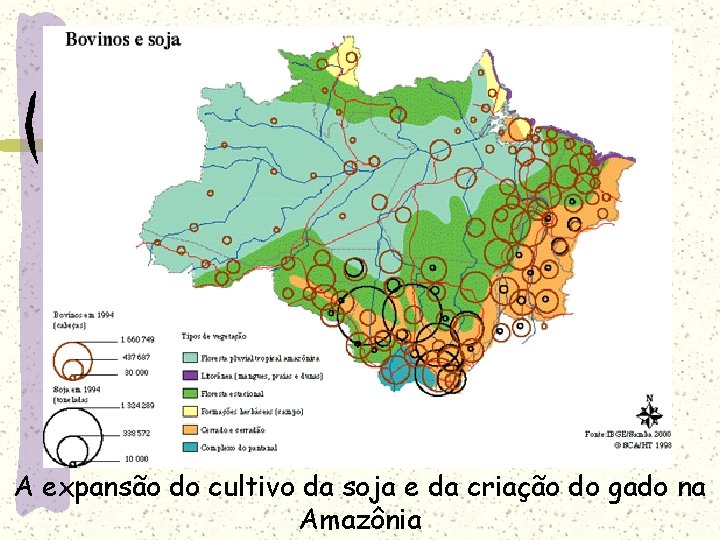 A expansão do cultivo da soja e da criação do gado na Amazônia 