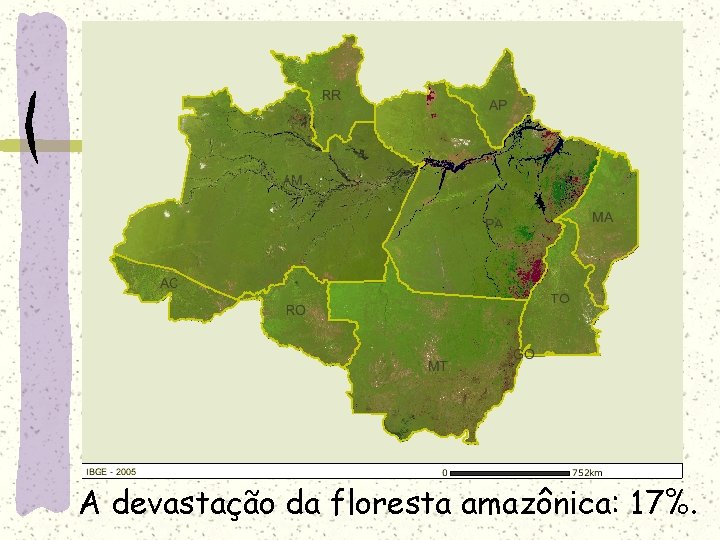 A devastação da floresta amazônica: 17%. 