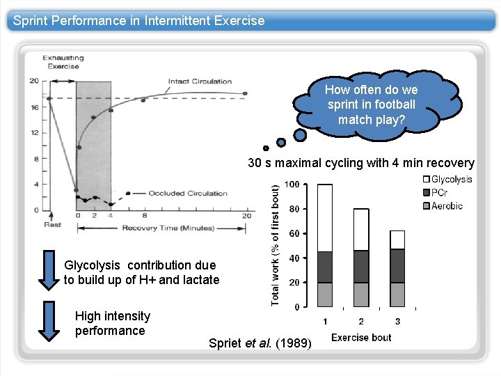 Sprint Performance in Intermittent Exercise How often do we sprint in football match play?