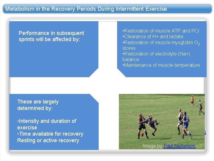 Metabolism in the Recovery Periods During Intermittent Exercise Performance in subsequent sprints will be