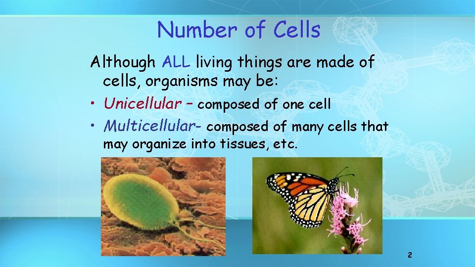 Number of Cells Although ALL living things are made of cells, organisms may be:
