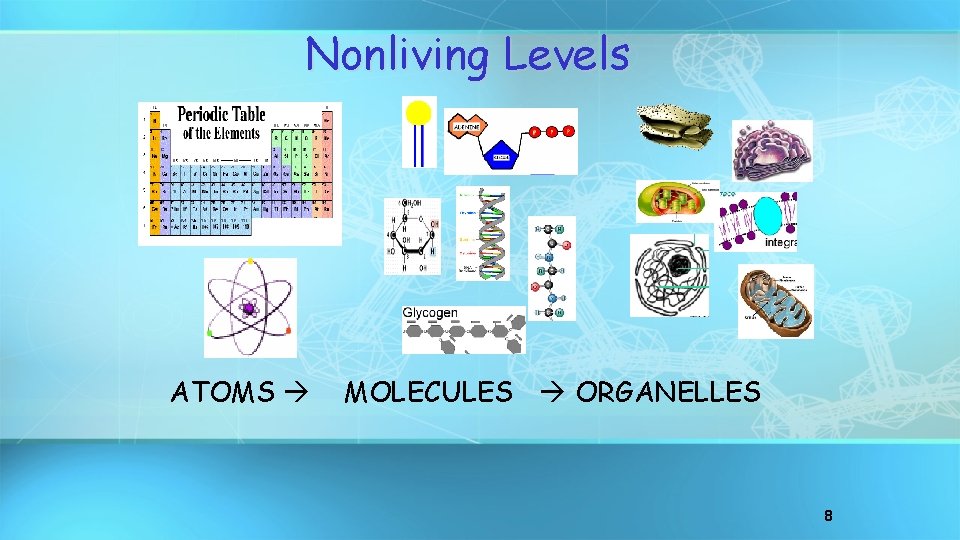 Nonliving Levels ATOMS MOLECULES ORGANELLES 8 
