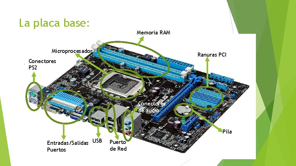 La placa base: Memoria RAM Microprocesador Ranuras PCI Conectores PS 2 Conectores de audio