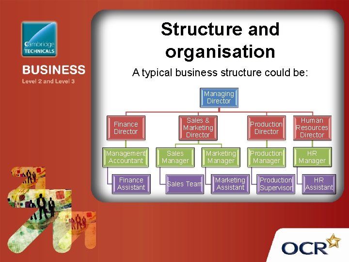 Structure and organisation A typical business structure could be: Managing Director Finance Director Management