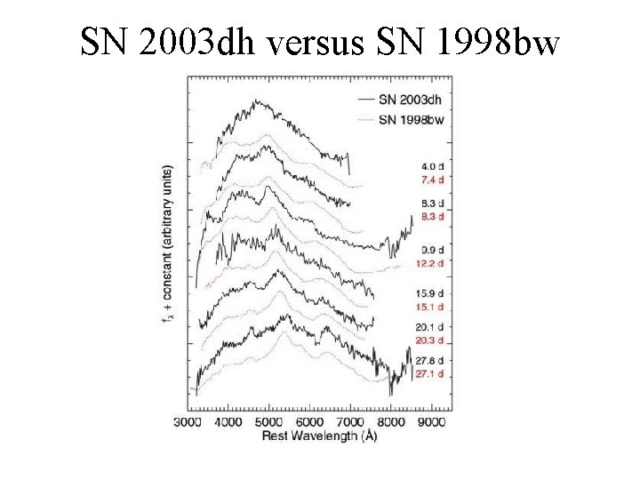 SN 2003 dh versus SN 1998 bw 