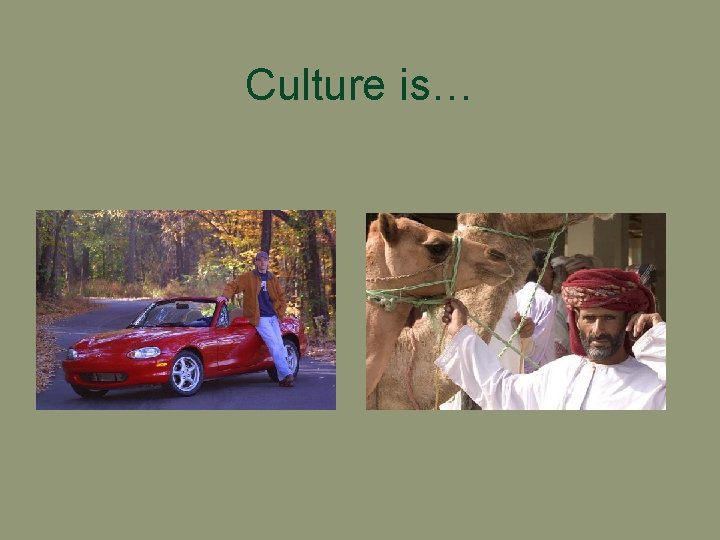 Culture is… 