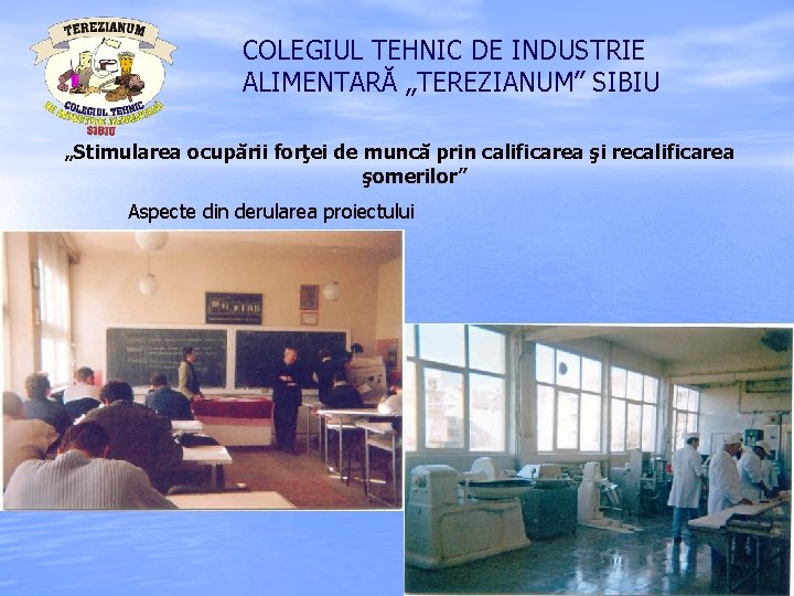 COLEGIUL TEHNIC DE INDUSTRIE ALIMENTARĂ „TEREZIANUM” SIBIU „Stimularea ocupării forţei de muncă prin calificarea