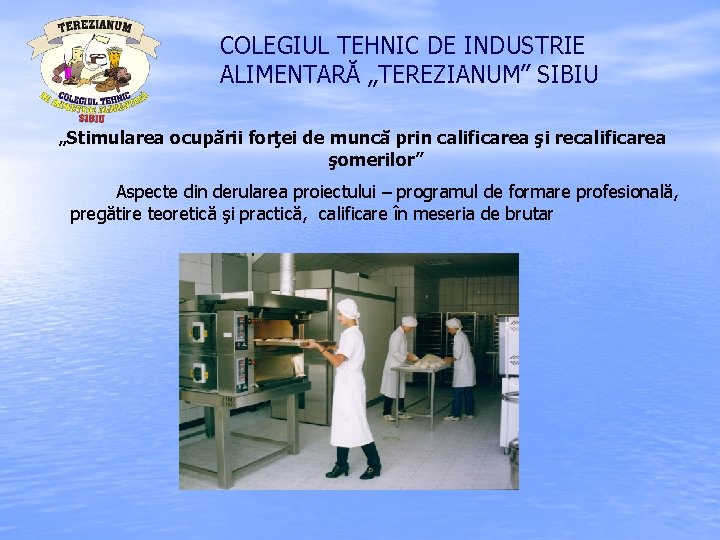 COLEGIUL TEHNIC DE INDUSTRIE ALIMENTARĂ „TEREZIANUM” SIBIU „Stimularea ocupării forţei de muncă prin calificarea