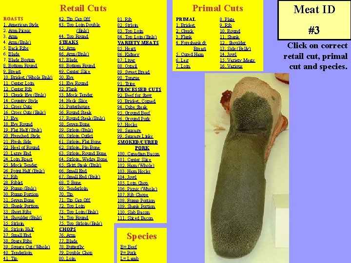 Retail Cuts ROASTS 1. American Style 2. Arm Picnic 3. Arm 4. Arm (Bnls)