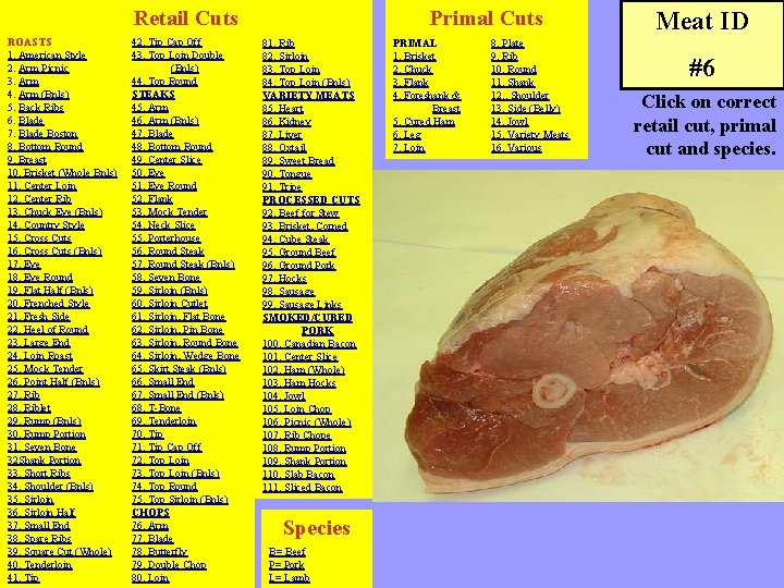 Retail Cuts ROASTS 1. American Style 2. Arm Picnic 3. Arm 4. Arm (Bnls)