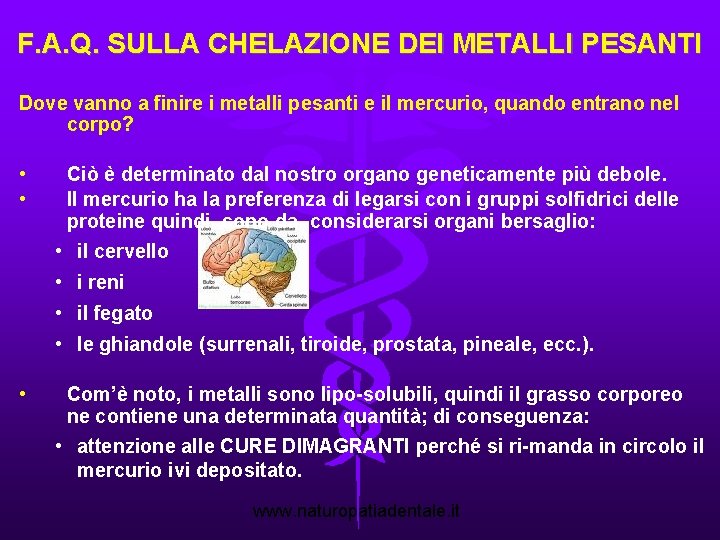 F. A. Q. SULLA CHELAZIONE DEI METALLI PESANTI Dove vanno a finire i metalli