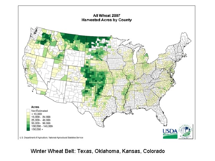 Winter Wheat Belt: Texas, Oklahoma, Kansas, Colorado 