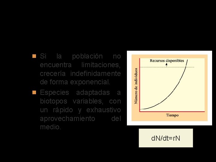 Crecimiento exponencial (estrategas de la r) Si la población no encuentra limitaciones, crecería indefinidamente