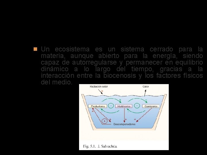 Autorregulación del ecosistema Un ecosistema es un sistema cerrado para la materia, aunque abierto