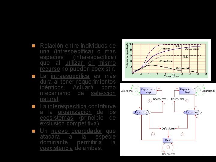 Competencia Relación entre individuos de una (intrespecífica) o más especies (interespecífica) que al utilizar