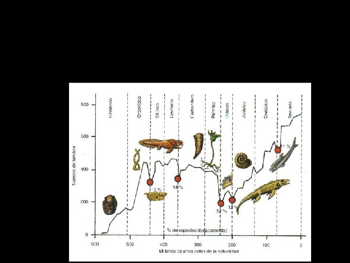 Desaparición de especies en las cinco extinciones masivas más significativas 