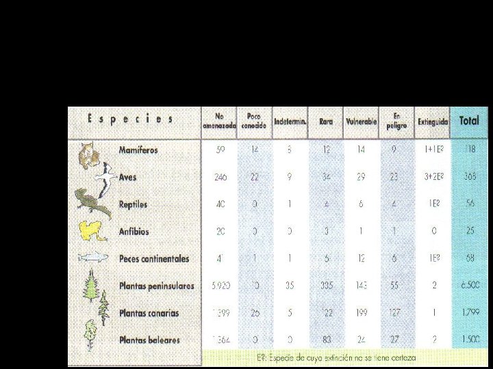 Estado de conservación de la flora y los vertebrados españoles 