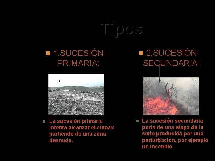 Tipos 1. SUCESIÓN 2. SUCESIÓN SECUNDARIA: PRIMARIA: La sucesión primaria intenta alcanzar el climax