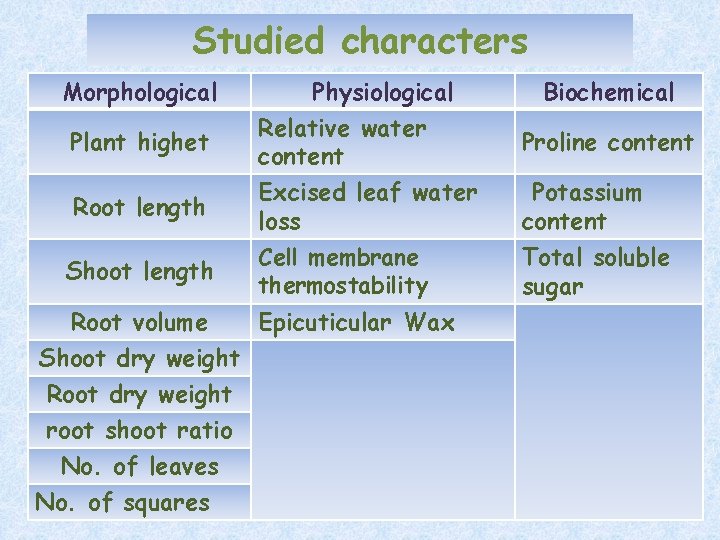 Studied characters Morphological Plant highet Root length Physiological Relative water content Excised leaf water