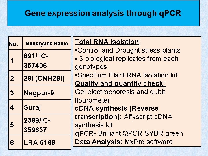 Gene expression analysis through q. PCR No. Genotypes Name 1 891/ IC 357406 2