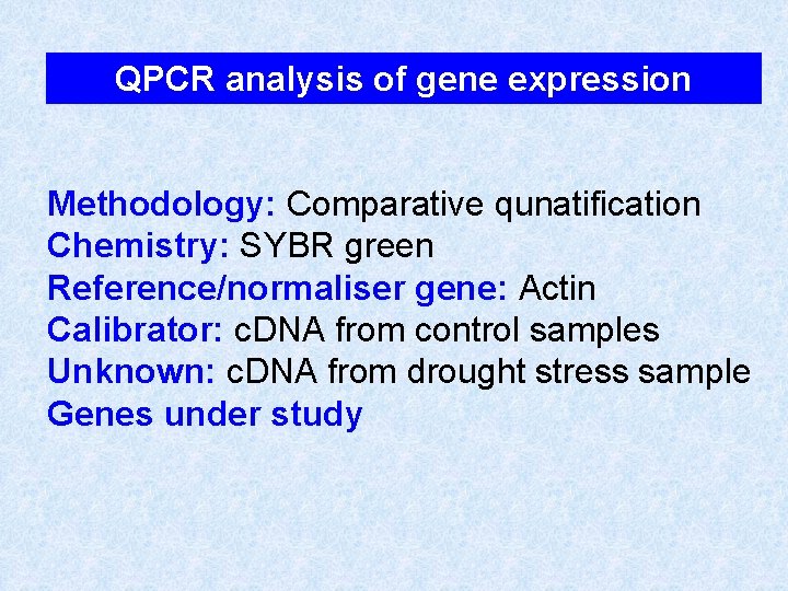 QPCR analysis of gene expression Methodology: Comparative qunatification Chemistry: SYBR green Reference/normaliser gene: Actin