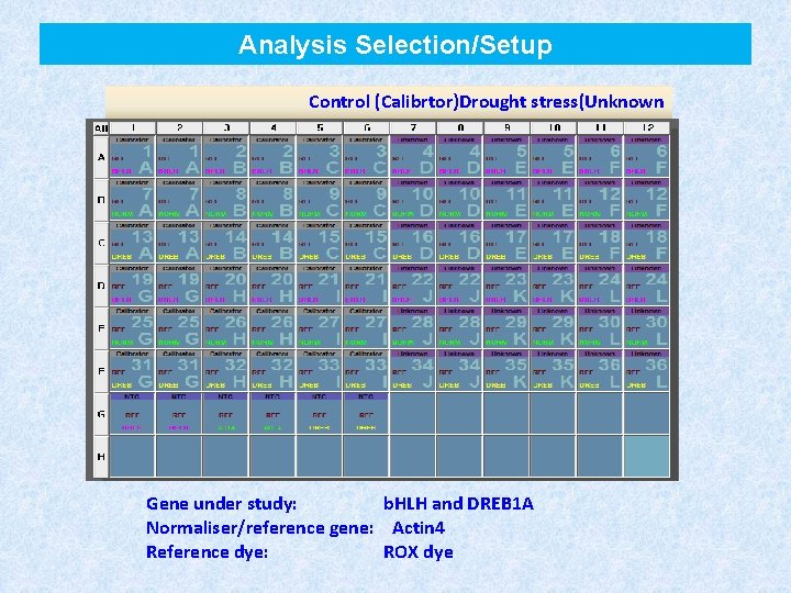 Analysis Selection/Setup Control (Calibrtor)Drought stress(Unknown Gene under study: b. HLH and DREB 1 A