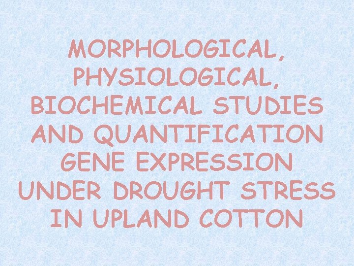 MORPHOLOGICAL, PHYSIOLOGICAL, BIOCHEMICAL STUDIES AND QUANTIFICATION GENE EXPRESSION UNDER DROUGHT STRESS IN UPLAND COTTON