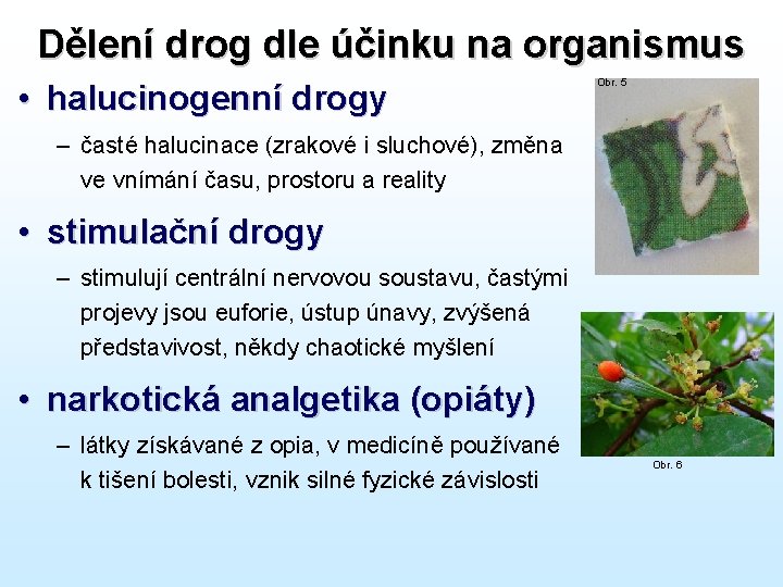 Dělení drog dle účinku na organismus • halucinogenní drogy Obr. 5 – časté halucinace