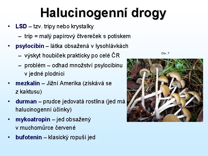 Halucinogenní drogy • LSD – tzv. tripy nebo krystalky – trip = malý papírový