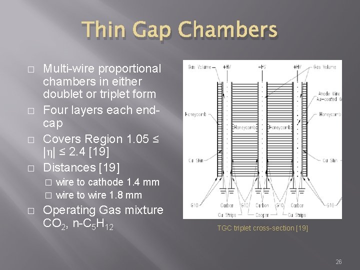 Thin Gap Chambers � � Multi-wire proportional chambers in either doublet or triplet form