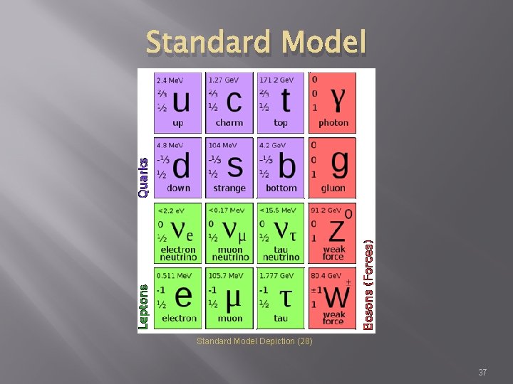 Standard Model Depiction (28) 37 